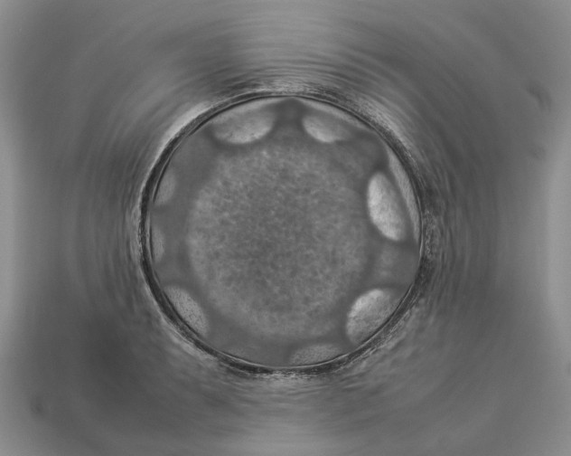 X0000112951087200909211149