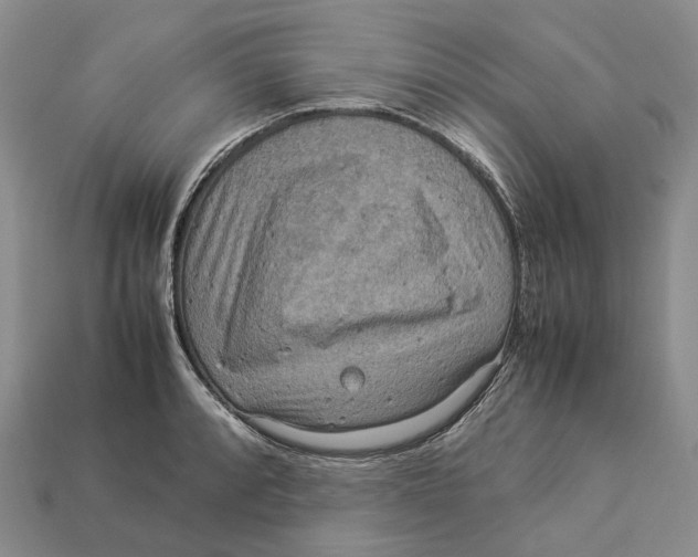 X0000112951088200909211149