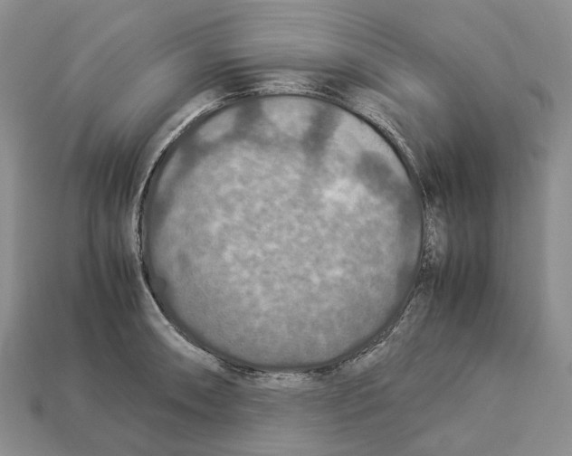 X0000112951090200909211149