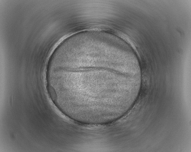 X0000112951091200909211149