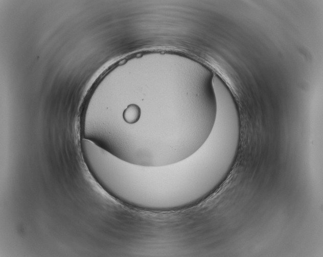 X0000112951092200909211149