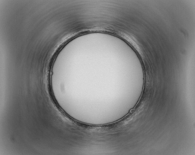 X0000112951093200909211149