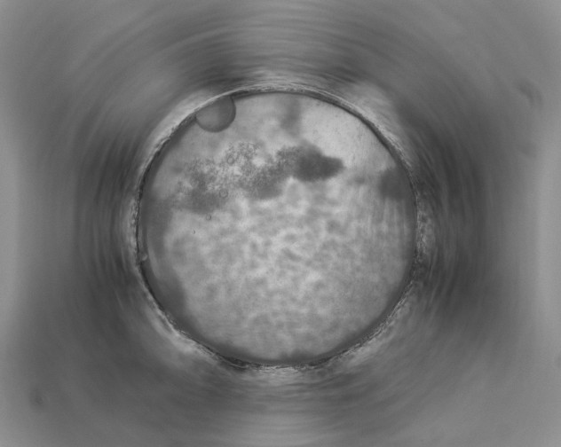 X0000112951094200909211149