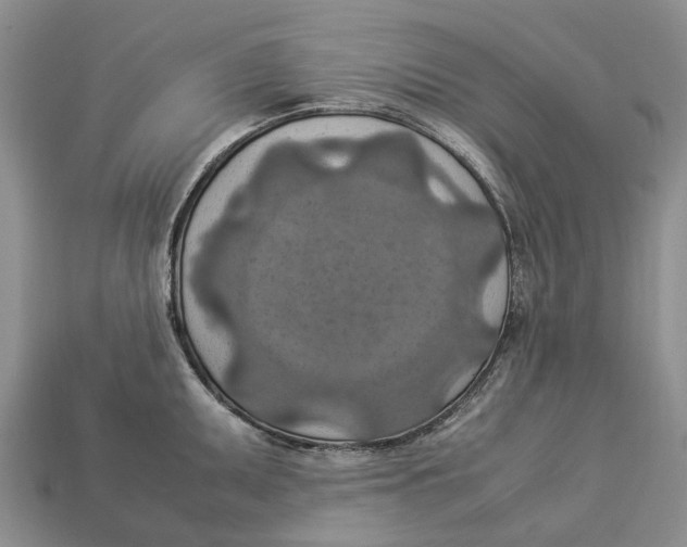 X0000112951095200909211149