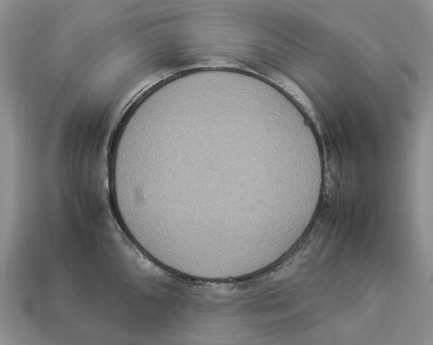 X0000112951096200909211149