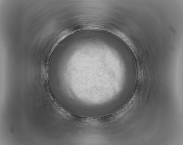 X0000112951097200909211149