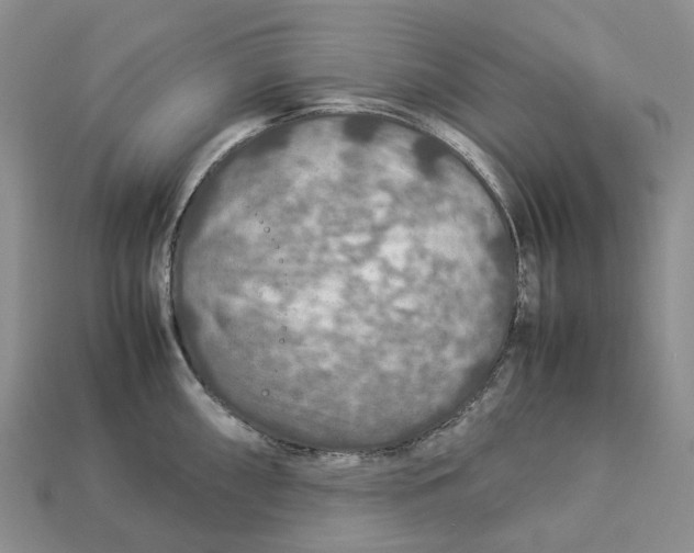 X0000112951098200909211149