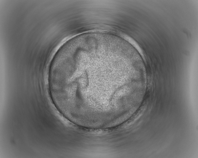 X0000112951099200909211149