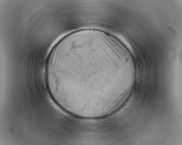 X0000112951100200909211149