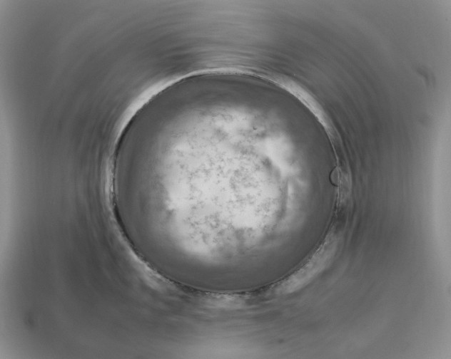 X0000112951101200909211149