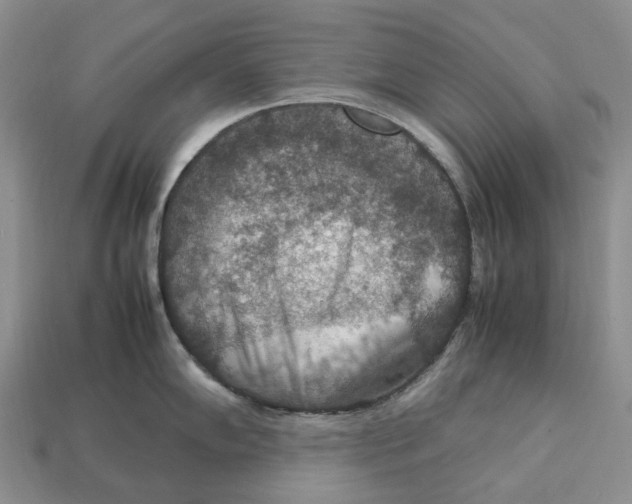 X0000112951102200909211149