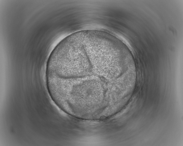 X0000112951103200909211149