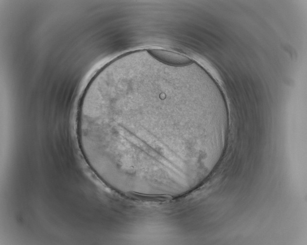 X0000112951104200909211149