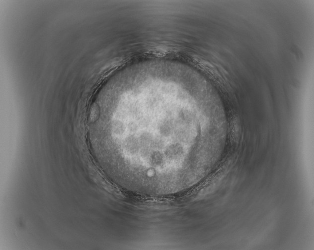 X0000112951105200909211148