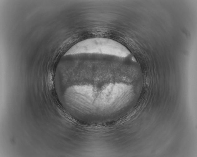 X0000112951106200909211148