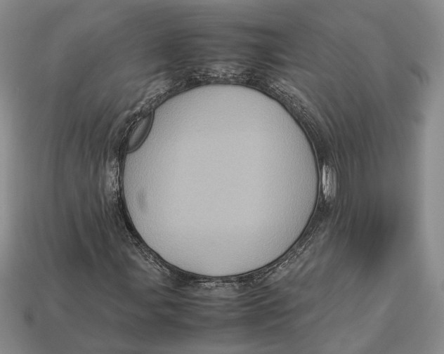 X0000112951107200909211148