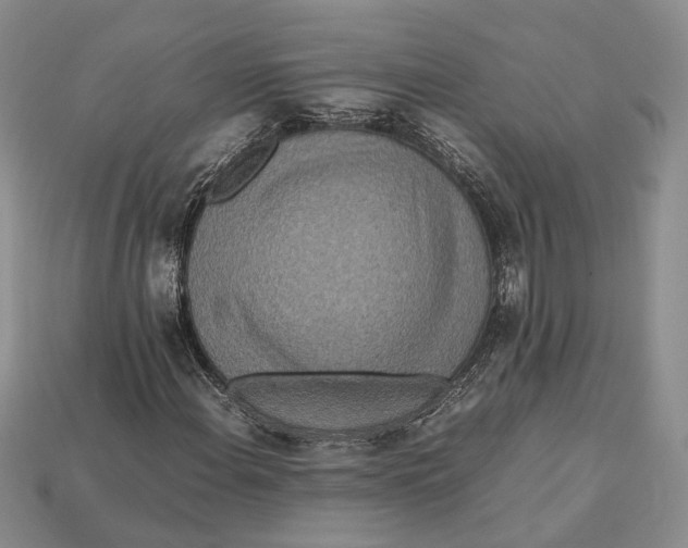 X0000112951108200909211148