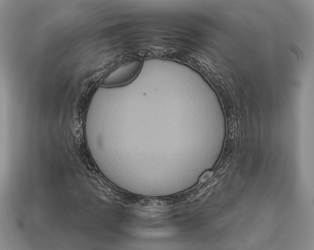 X0000112951109200909211148