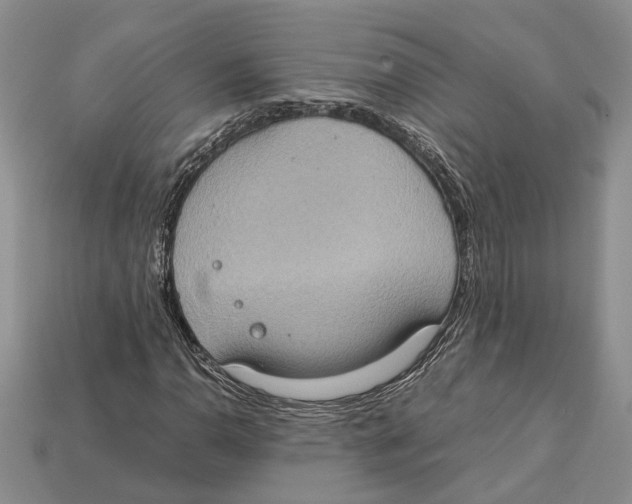 X0000112951110200909211148