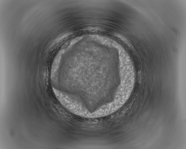 X0000112951111200909211148