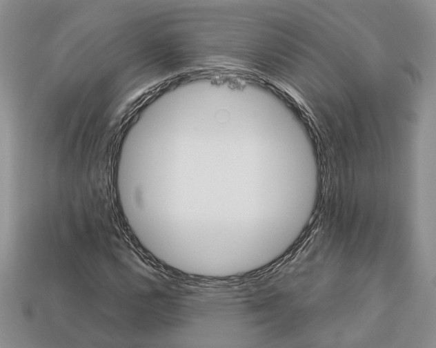 X0000112951112200909211148