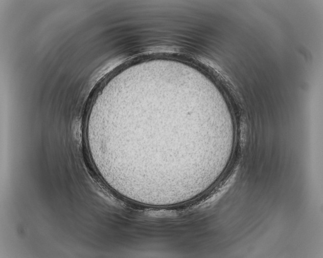 X0000112951113200909211148