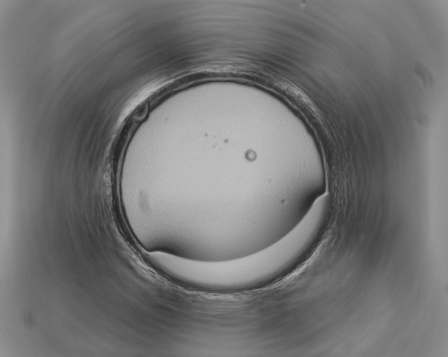 X0000112951114200909211148