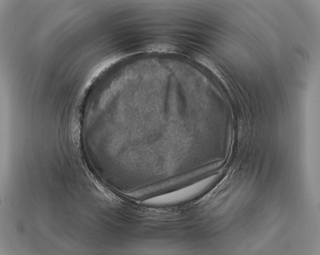 X0000112951115200909211148