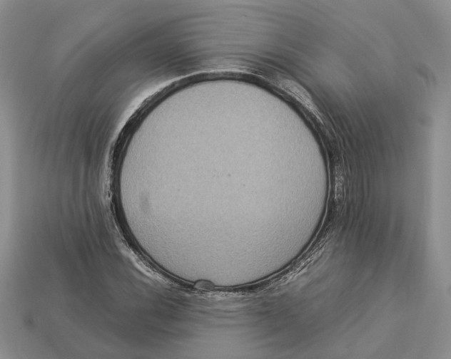 X0000112951116200909211148