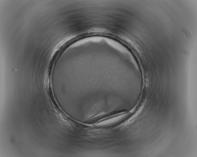 X0000112951117200909211148