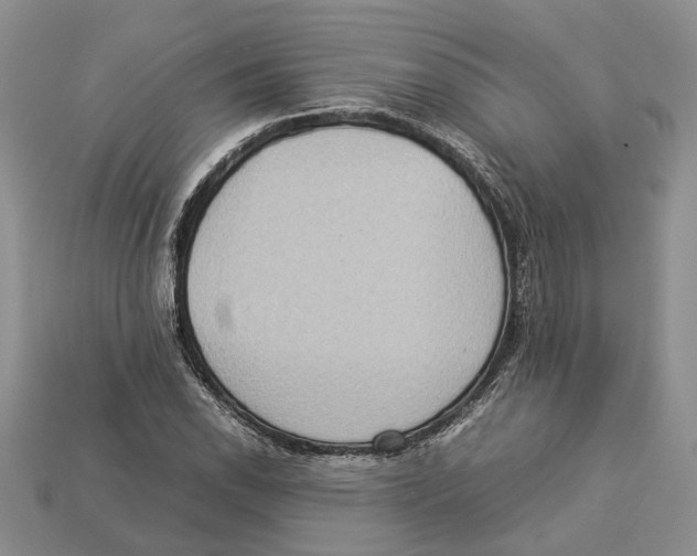 X0000112951118200909211149