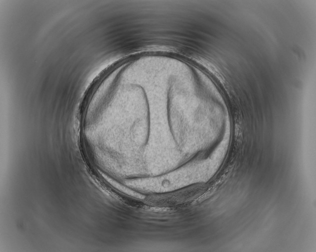 X0000112951119200909211149