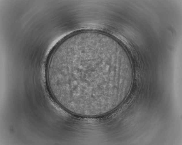 X0000112951120200909211149