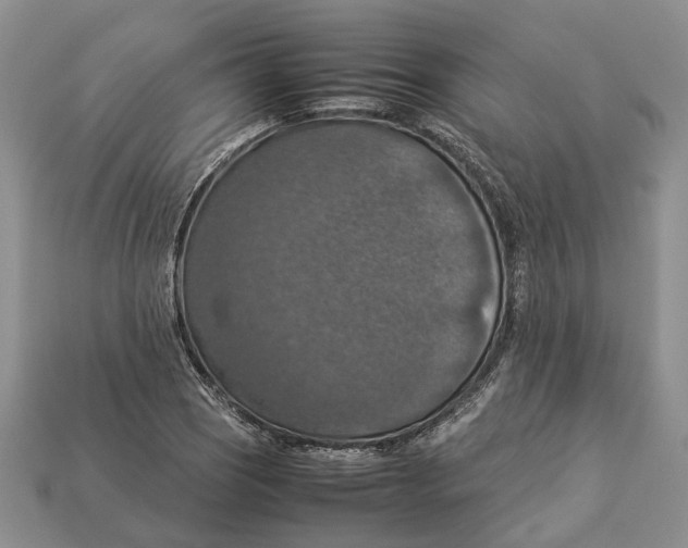 X0000112951121200909211149