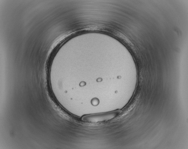 X0000112951122200909211149