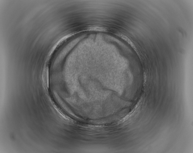 X0000112951123200909211149