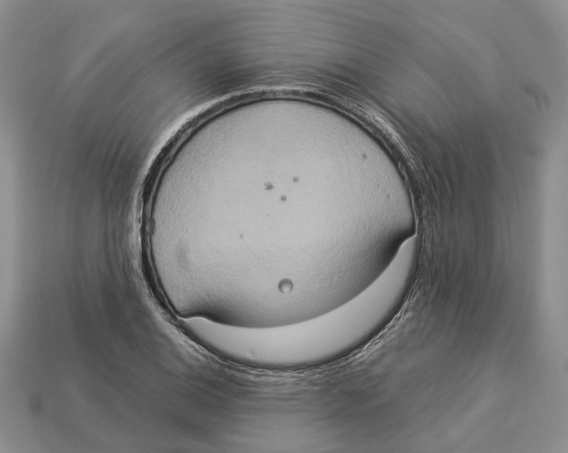 X0000112951124200909211149