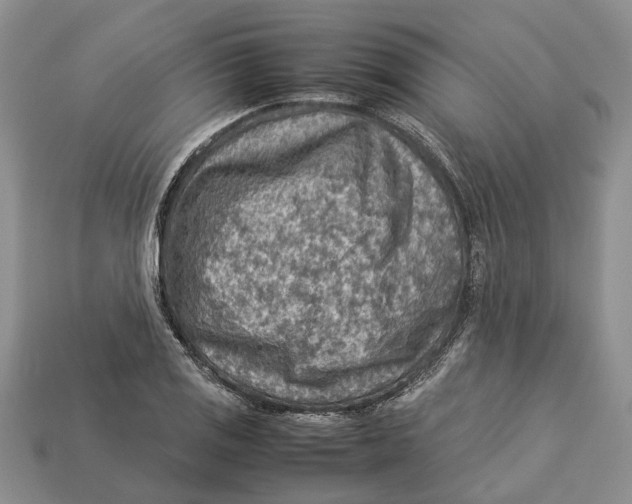 X0000112951125200909211149