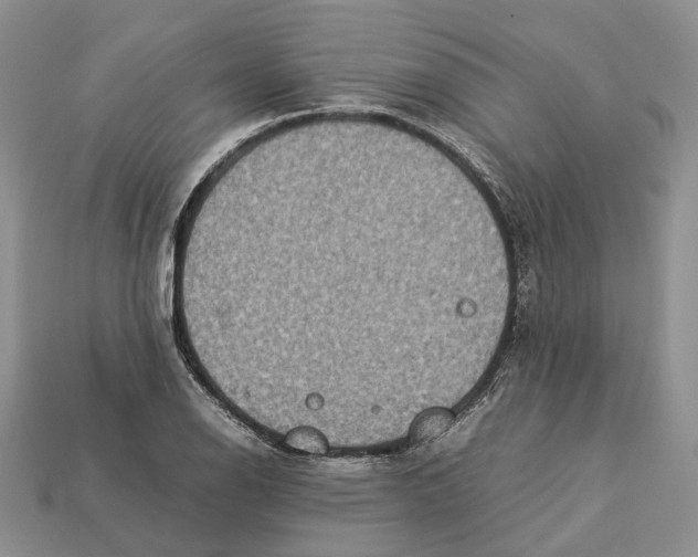 X0000112951126200909211149