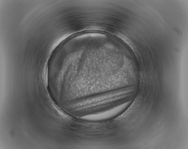 X0000112951127200909211149