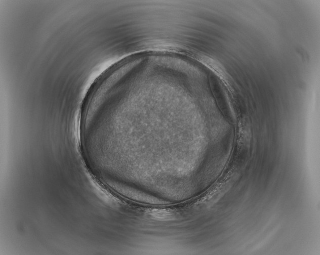 X0000112951128200909211149