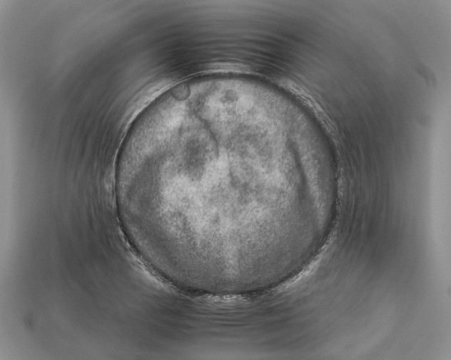 X0000112951129200909211149