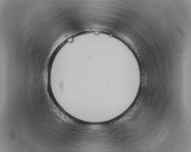 X0000112951130200909211149