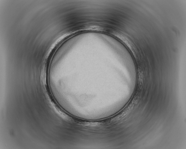 X0000112951131200909211149