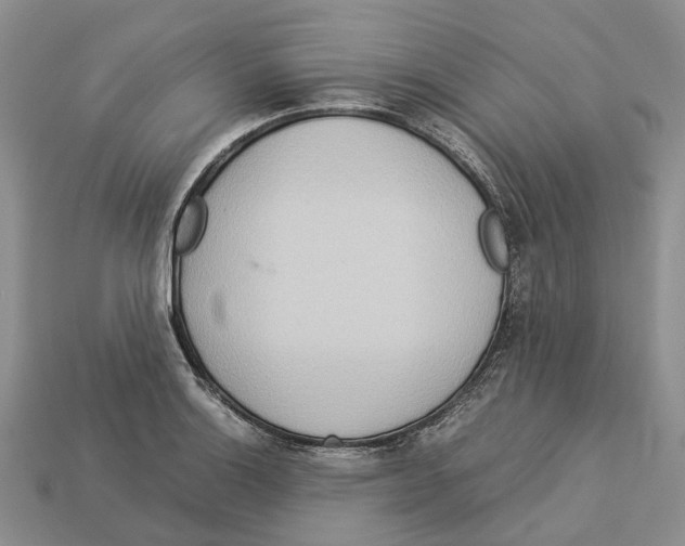 X0000112951132200909211149