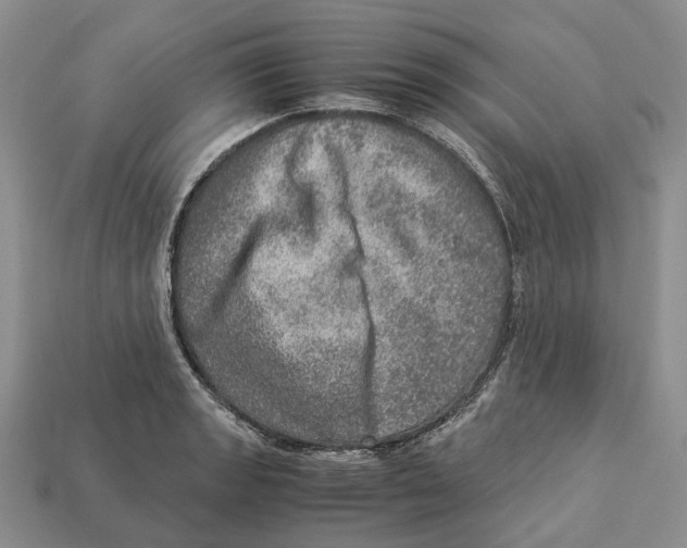 X0000112951133200909211149