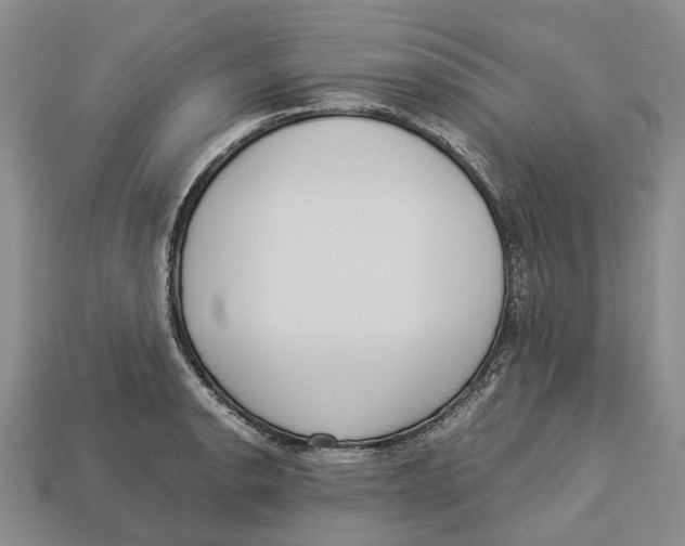 X0000112951134200909211149