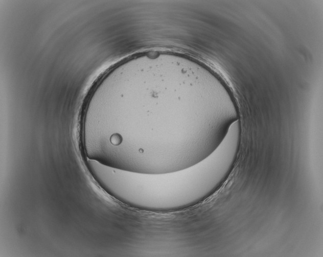 X0000112951136200909211149