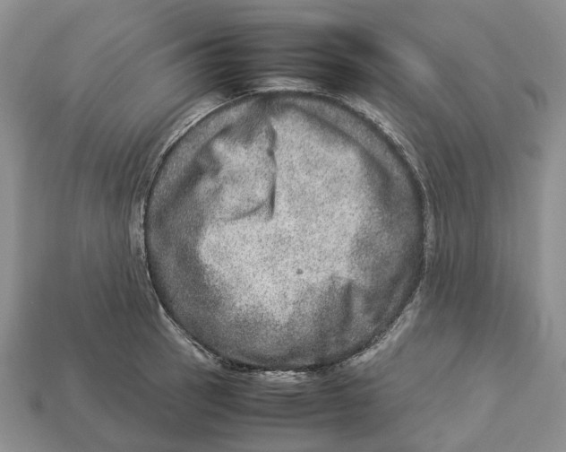 X0000112951137200909211149