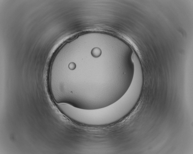 X0000112951138200909211149